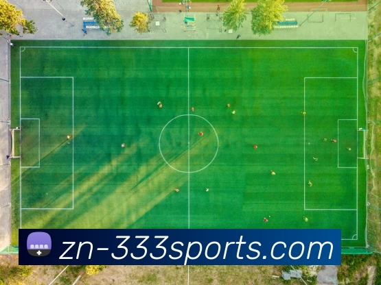 333体育平台生态图